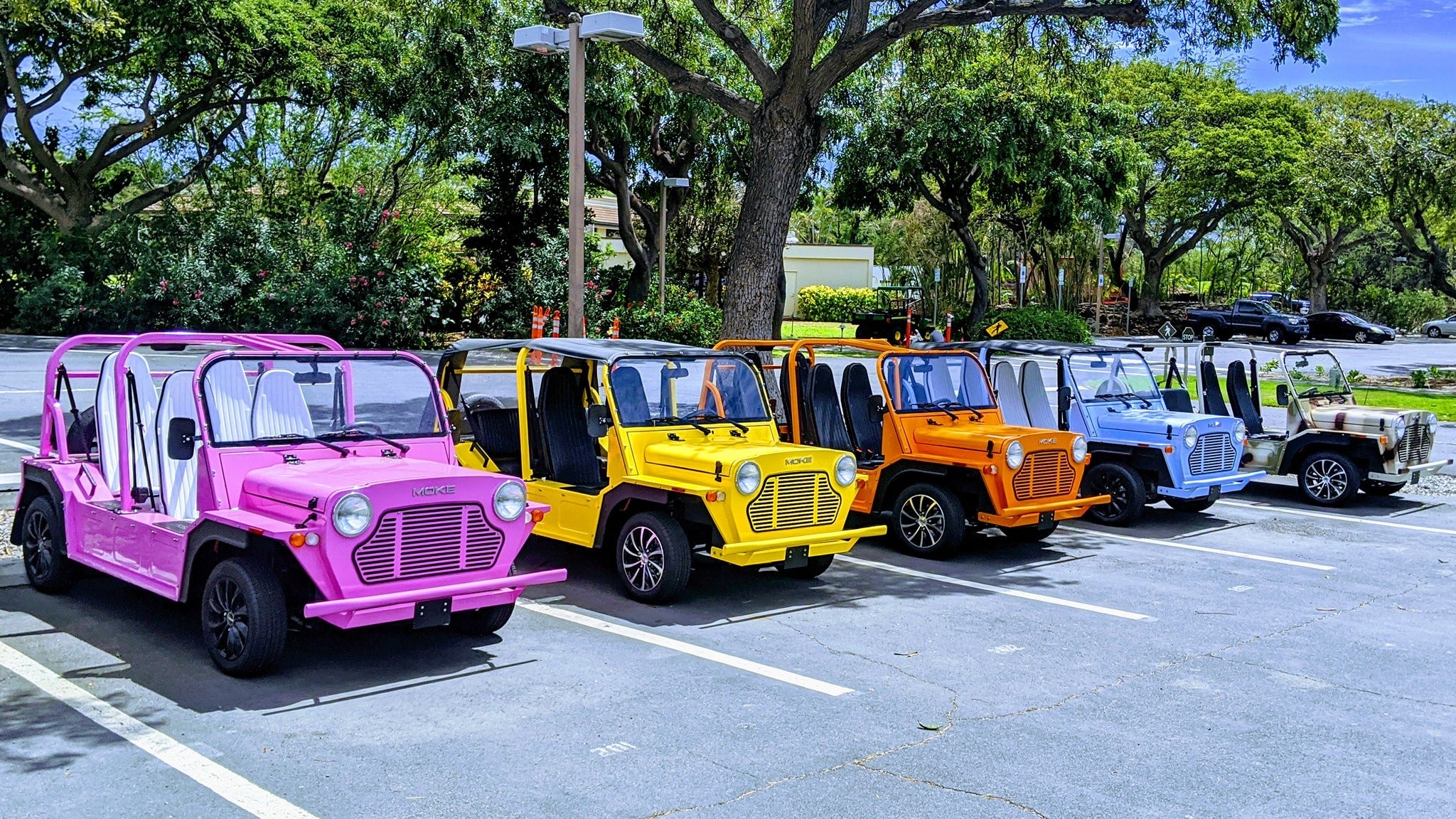 Flamingo Pink beach buggy